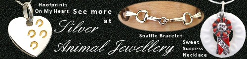 Affordable Horse Jewellery - treat yourself!