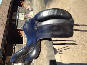 Dressage Saddles for sale