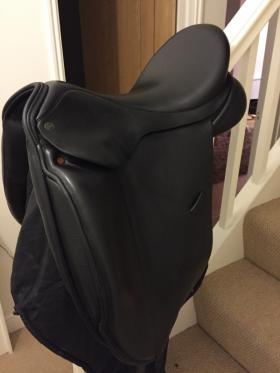 Dressage Saddles for sale