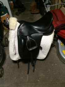 Dressage Saddles for sale